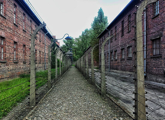 19 olok